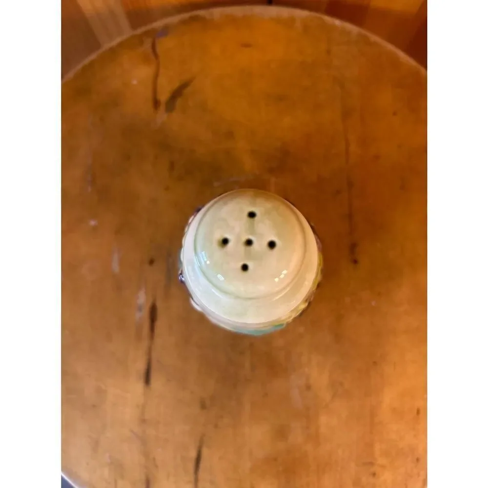 Vintage Porcelain Relief Design Salt Shaker Read (5009)